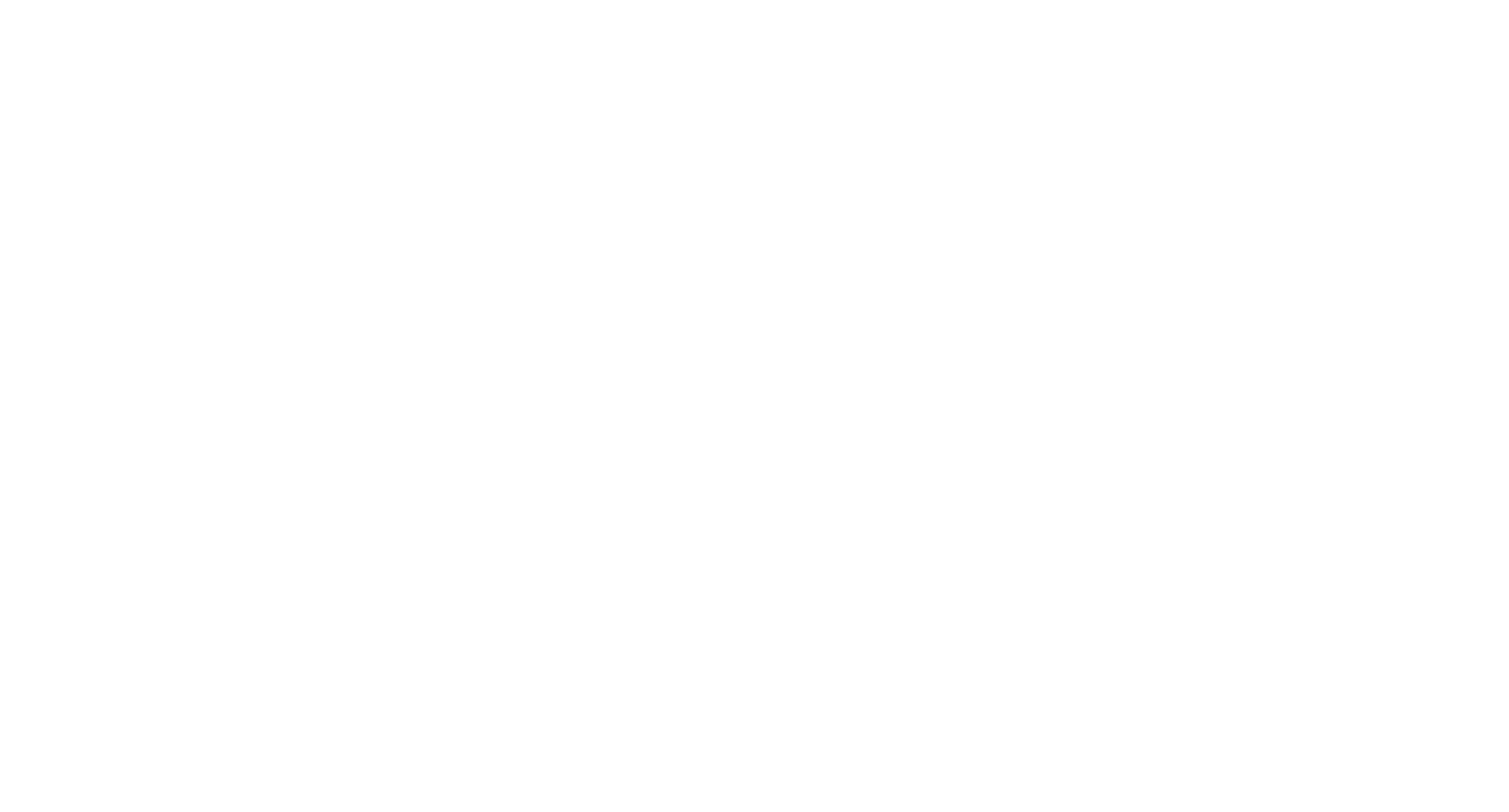 Aviva Fest